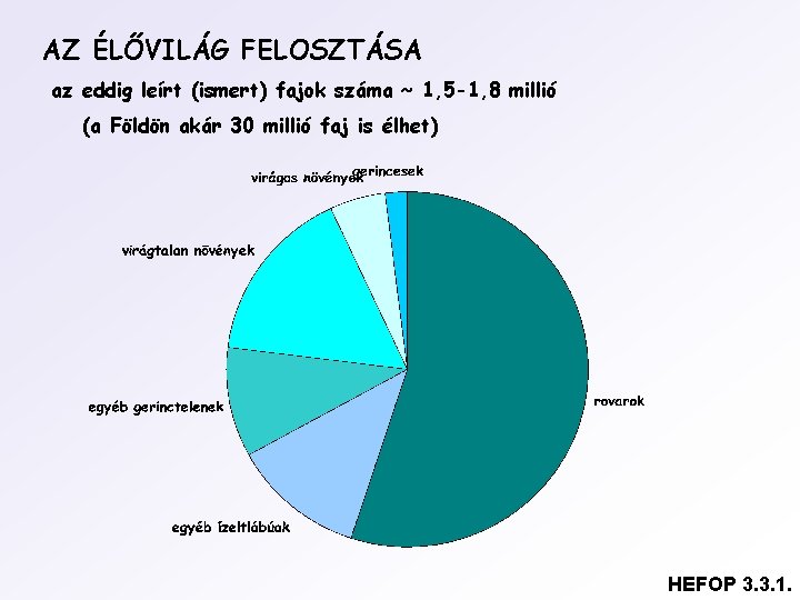 AZ ÉLŐVILÁG FELOSZTÁSA az eddig leírt (ismert) fajok száma ~ 1, 5 -1, 8