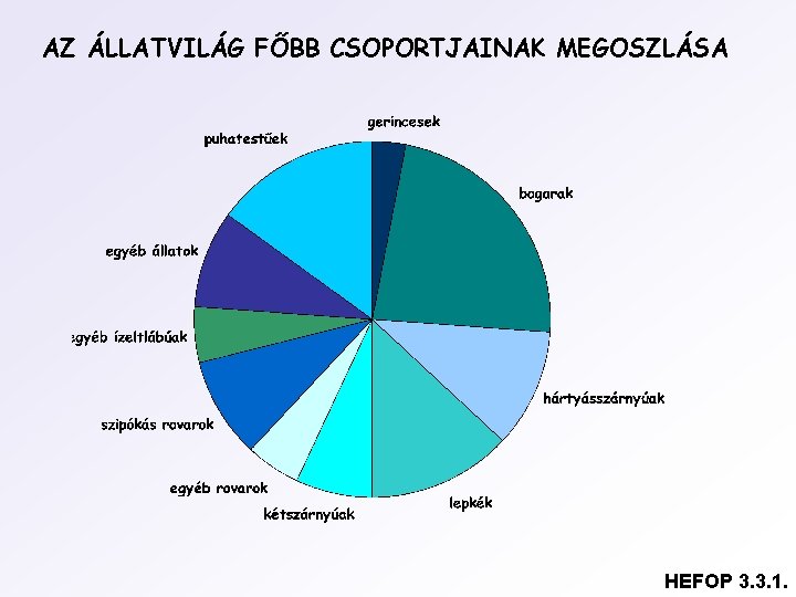 AZ ÁLLATVILÁG FŐBB CSOPORTJAINAK MEGOSZLÁSA HEFOP 3. 3. 1. AZ ÁLLATVILÁG FŐBB CSOPORTJAINAK MEGOSZLÁSA HEFOP 3. 3. 1.