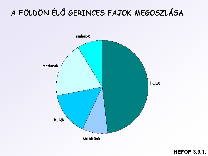 A FÖLDÖN ÉLŐ GERINCES FAJOK MEGOSZLÁSA HEFOP 3. 3. 1. 