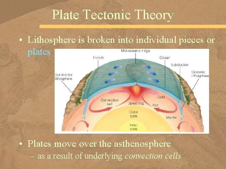 Plate Tectonic Theory • Lithosphere is broken into individual pieces or plates • Plates