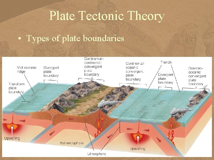 Plate Tectonic Theory • Types of plate boundaries 