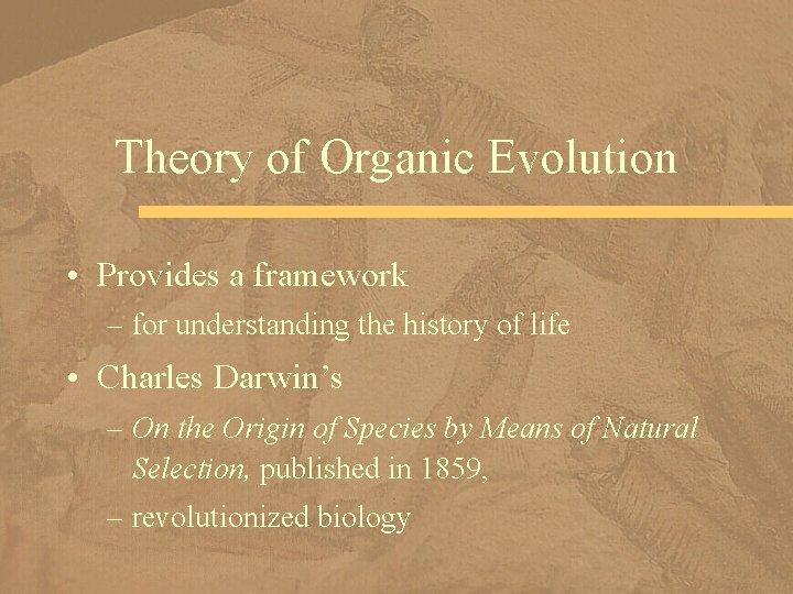 Theory of Organic Evolution • Provides a framework – for understanding the history of