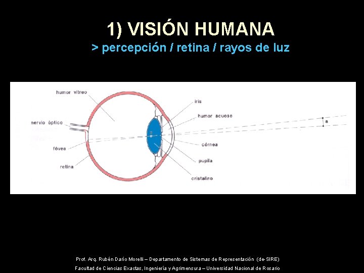 1) VISIÓN HUMANA > percepción / retina / rayos de luz Prof. Arq. Rubén