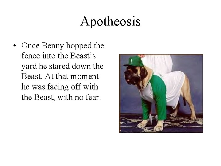 Apotheosis • Once Benny hopped the fence into the Beast’s yard he stared down