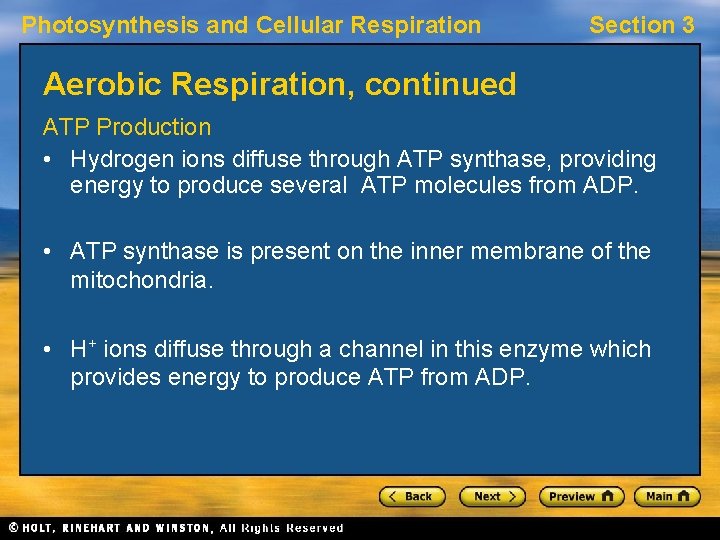 Photosynthesis and Cellular Respiration Section 3 Aerobic Respiration, continued ATP Production • Hydrogen ions