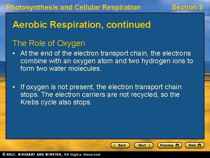 Photosynthesis and Cellular Respiration Section 3 Aerobic Respiration, continued The Role of Oxygen •