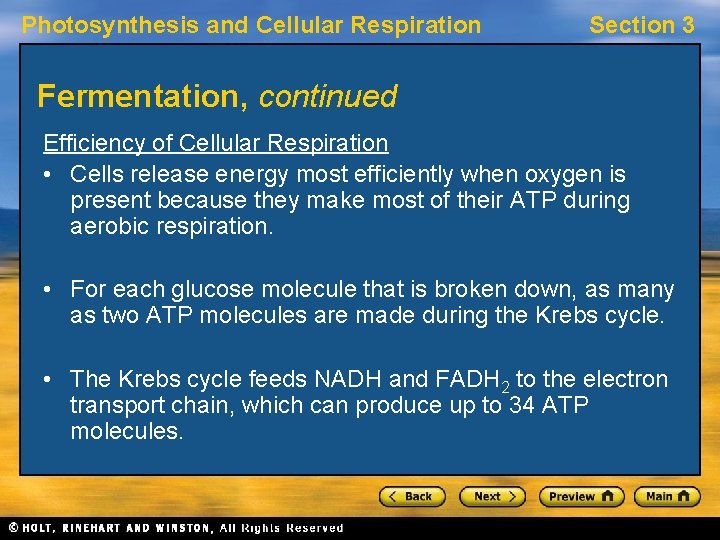 Photosynthesis and Cellular Respiration Section 3 Fermentation, continued Efficiency of Cellular Respiration • Cells