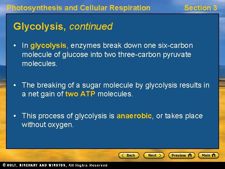 Photosynthesis and Cellular Respiration Section 3 Glycolysis, continued • In glycolysis, enzymes break down