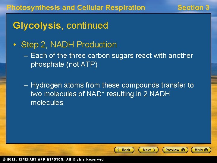 Photosynthesis and Cellular Respiration Section 3 Glycolysis, continued • Step 2, NADH Production –