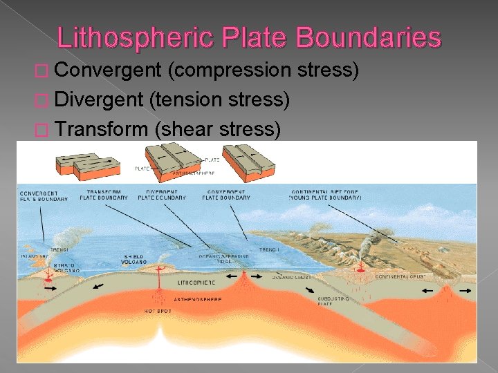 Lithospheric Plate Boundaries � Convergent (compression stress) � Divergent (tension stress) � Transform (shear