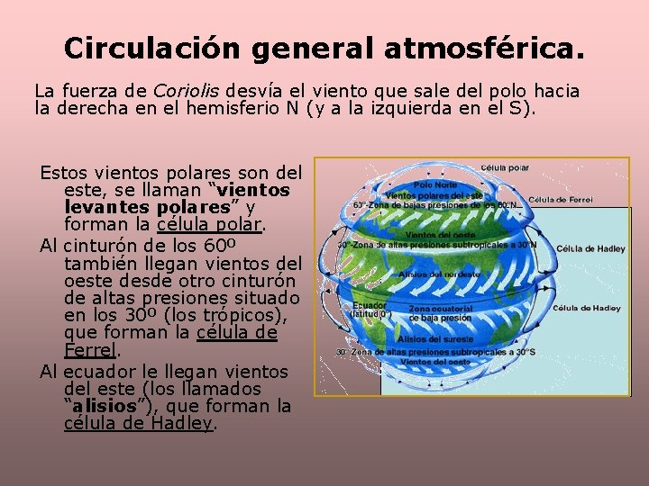 Circulación general atmosférica. La fuerza de Coriolis desvía el viento que sale del polo