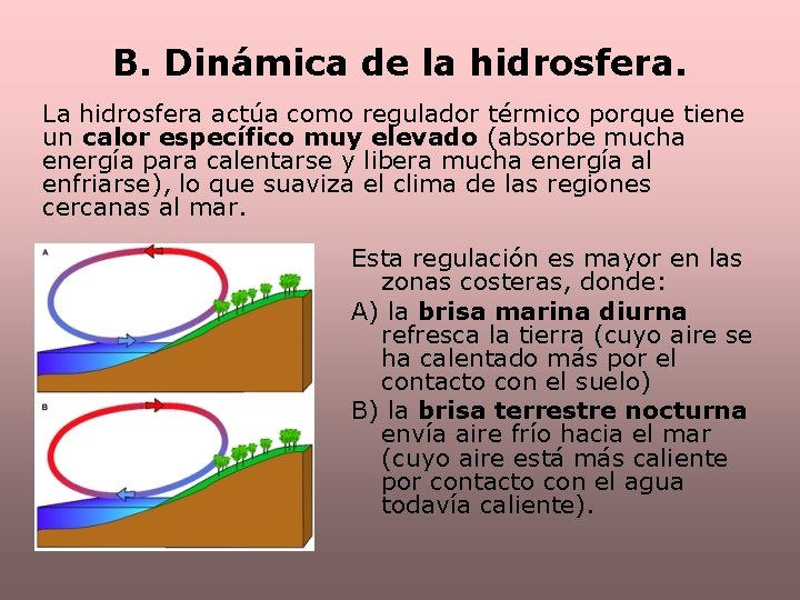 B. Dinámica de la hidrosfera. La hidrosfera actúa como regulador térmico porque tiene un