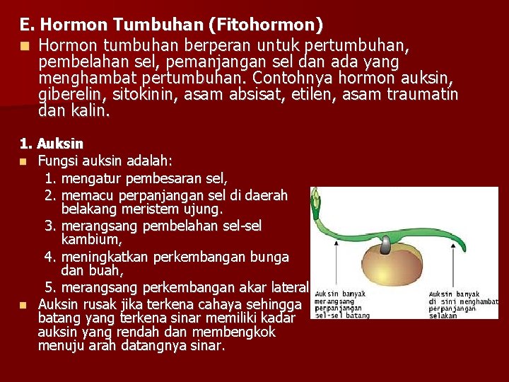 E. Hormon Tumbuhan (Fitohormon) Hormon tumbuhan berperan untuk pertumbuhan, pembelahan sel, pemanjangan sel dan