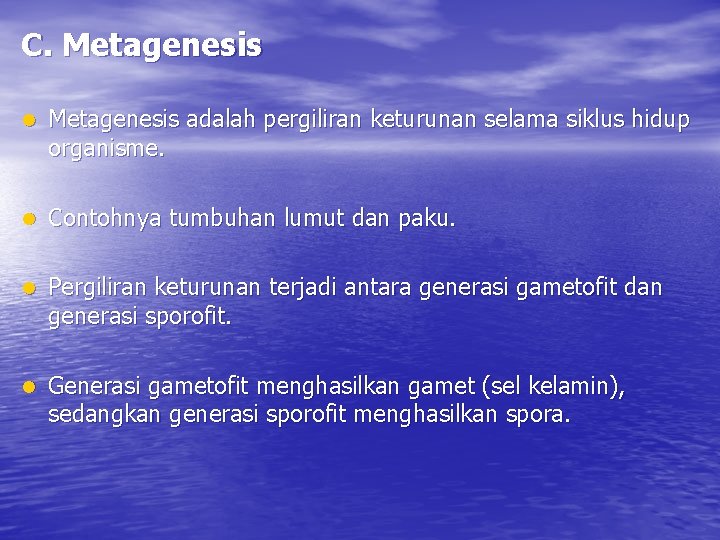 C. Metagenesis l Metagenesis adalah pergiliran keturunan selama siklus hidup organisme. l Contohnya tumbuhan