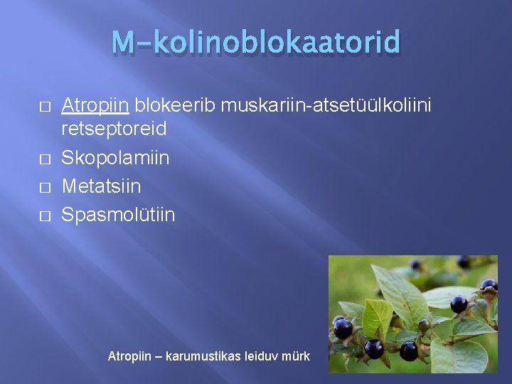 M-kolinoblokaatorid � � Atropiin blokeerib muskariin-atsetüülkoliini retseptoreid Skopolamiin Metatsiin Spasmolütiin Atropiin – karumustikas leiduv