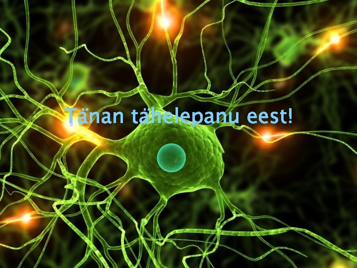 Tänan tähelepanu eest! 