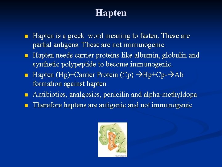 Hapten n n Hapten is a greek word meaning to fasten. These are partial