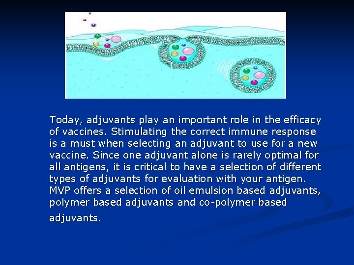 Today, adjuvants play an important role in the efficacy of vaccines. Stimulating the correct