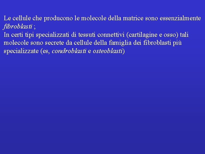 Le cellule che producono le molecole della matrice sono essenzialmente fibroblasti ; In certi