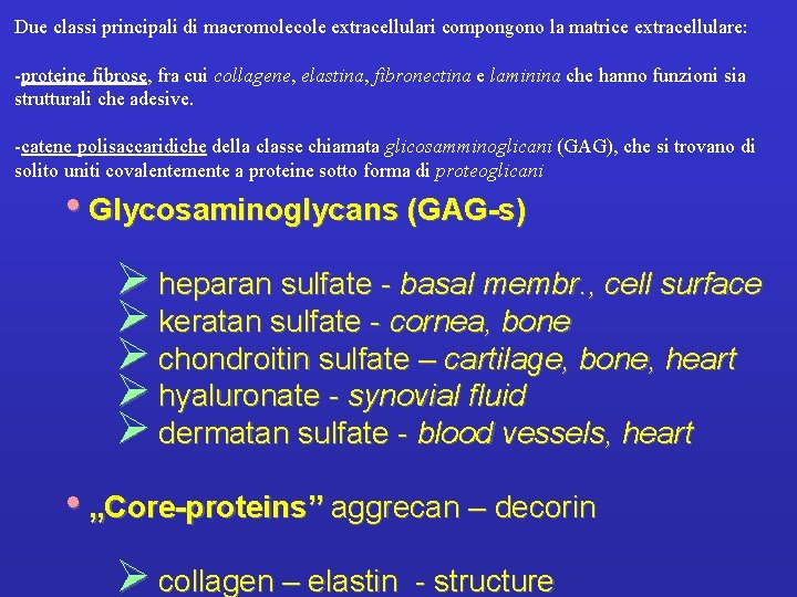 Due classi principali di macromolecole extracellulari compongono la matrice extracellulare: -proteine fibrose, fra cui