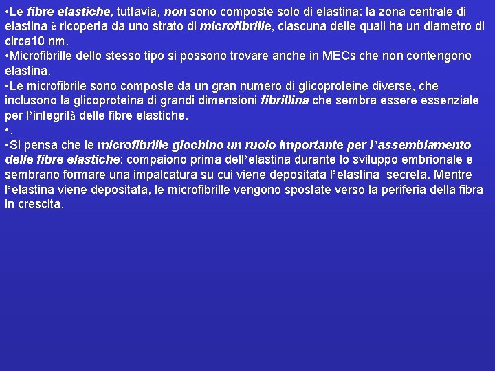  • Le fibre elastiche, tuttavia, non sono composte solo di elastina: la zona