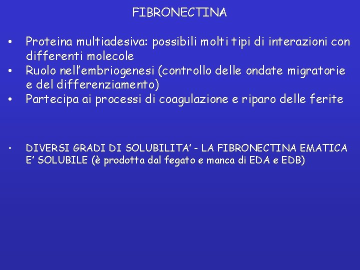 FIBRONECTINA • • Proteina multiadesiva: possibili molti tipi di interazioni con differenti molecole Ruolo