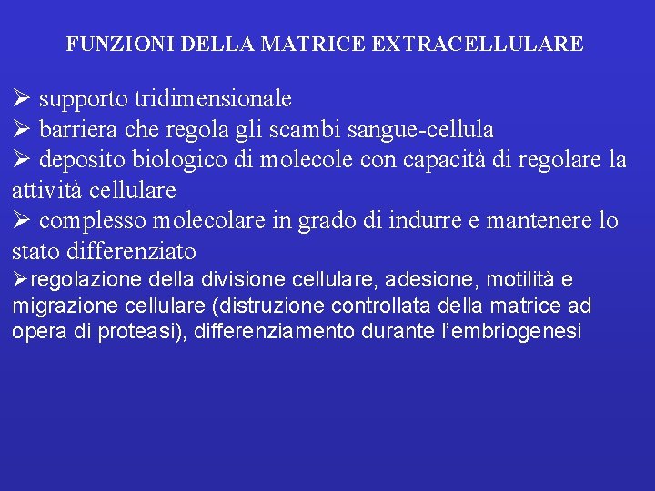 FUNZIONI DELLA MATRICE EXTRACELLULARE Ø supporto tridimensionale Ø barriera che regola gli scambi sangue-cellula