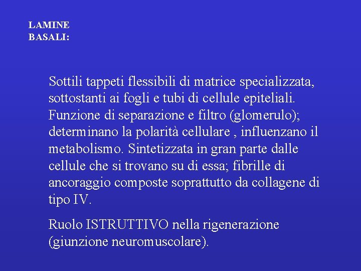 LAMINE BASALI: Sottili tappeti flessibili di matrice specializzata, sottostanti ai fogli e tubi di