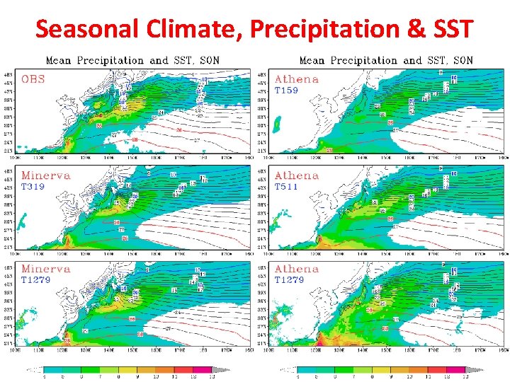 Seasonal Climate, Precipitation & SST 