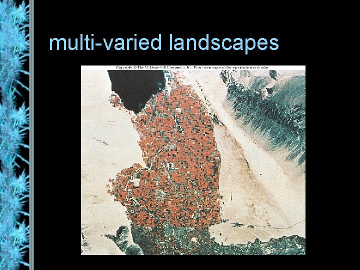 multi-varied landscapes 