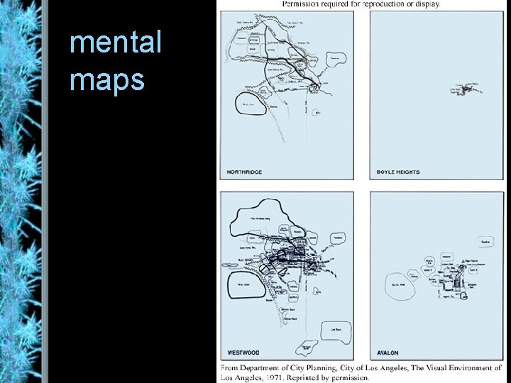 mental maps 