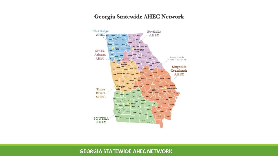 GEORGIA STATEWIDE AHEC NETWORK 
