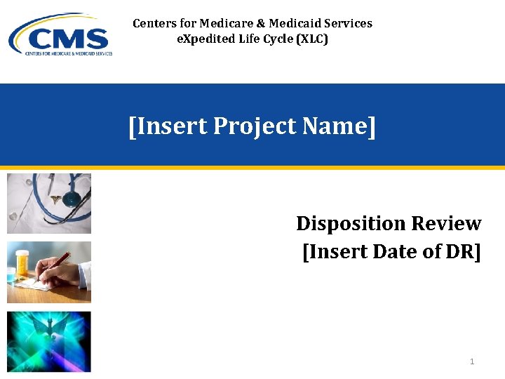 Centers for Medicare & Medicaid Services e. Xpedited Life Cycle (XLC) [Insert Project Name]