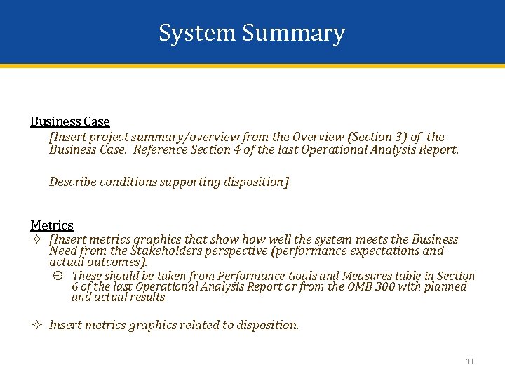 System Summary Business Case [Insert project summary/overview from the Overview (Section 3) of the