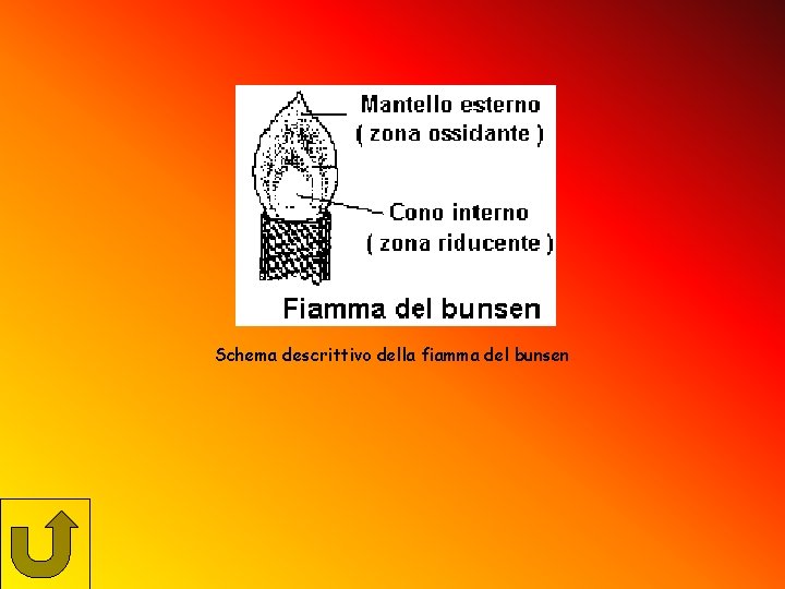 Schema descrittivo della fiamma del bunsen 