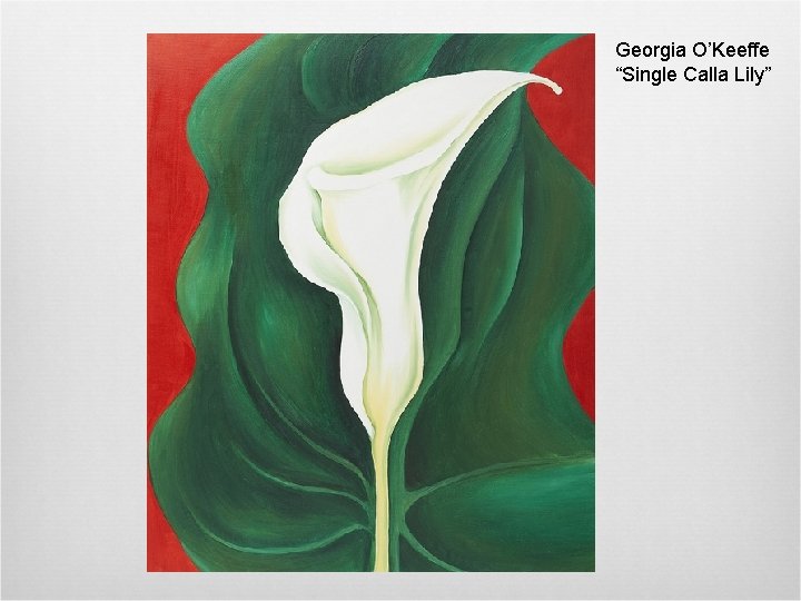 Georgia O’Keeffe “Single Calla Lily” 