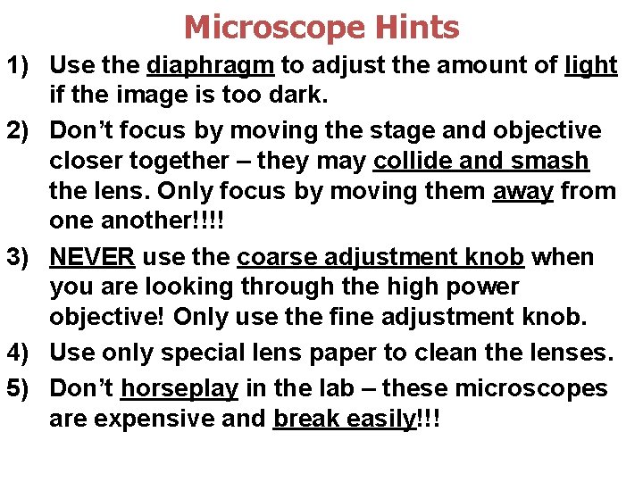 Microscope Hints 1) Use the diaphragm to adjust the amount of light if the