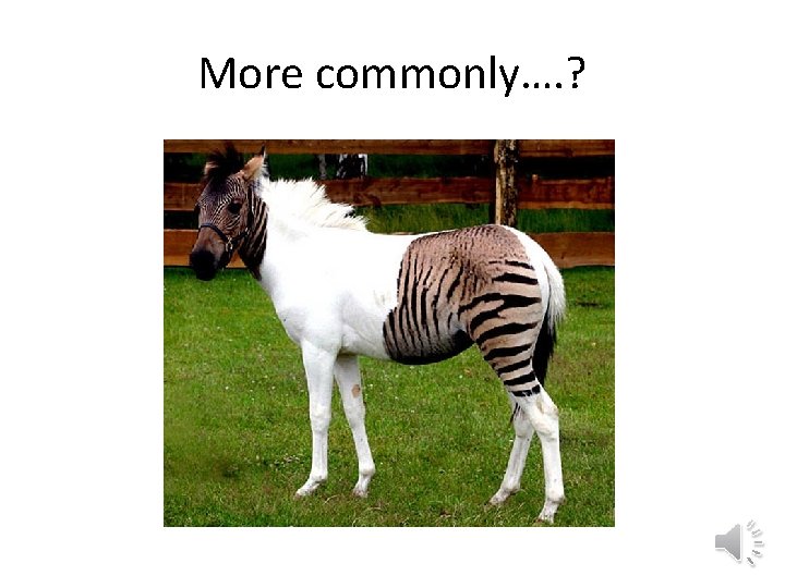 More commonly…. ? 