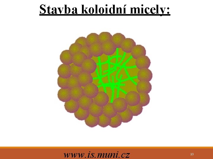 Stavba koloidní micely: www. is. muni. cz 23 