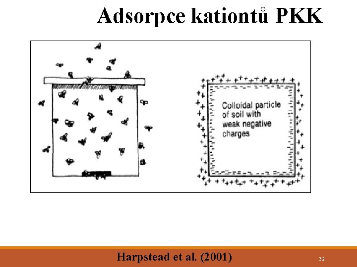 Adsorpce kationtů PKK Harpstead et al. (2001) 32 