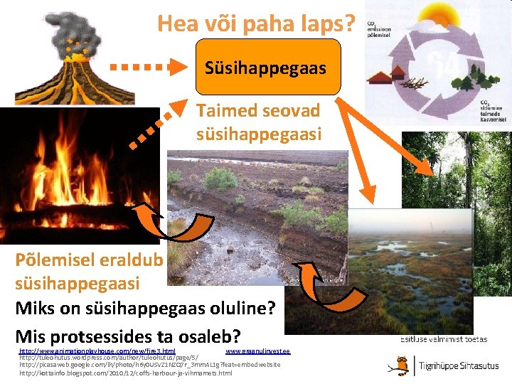 Hea või paha laps? Süsihappegaas Taimed seovad süsihappegaasi Põlemisel eraldub süsihappegaasi Miks on süsihappegaas