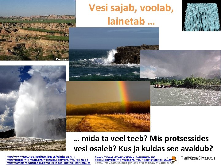 Vesi sajab, voolab, lainetab … … mida ta veel teeb? Mis protsessides vesi osaleb?