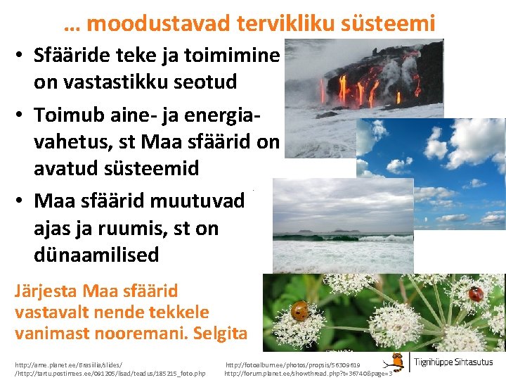 … moodustavad tervikliku süsteemi • Sfääride teke ja toimimine on vastastikku seotud • Toimub