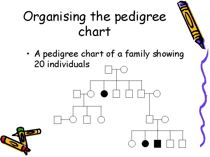 Organising the pedigree chart • A pedigree chart of a family showing 20 individuals