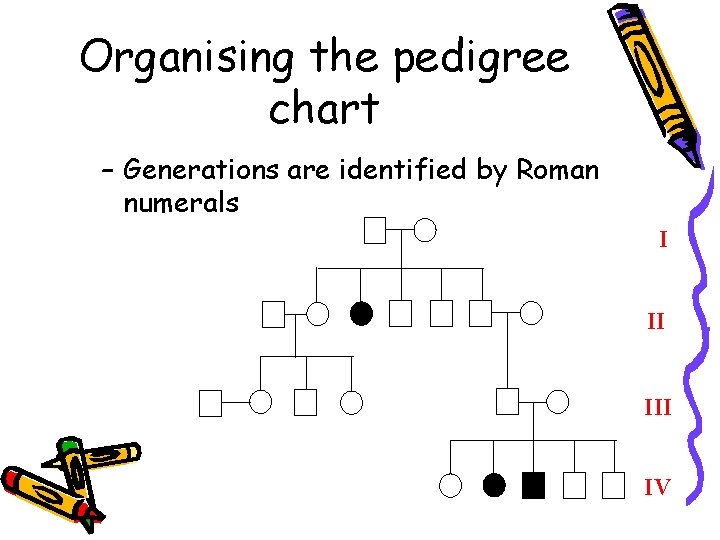 Organising the pedigree chart – Generations are identified by Roman numerals I II IV