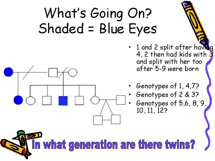 What’s Going On? Shaded = Blue Eyes • 1 and 2 split after having