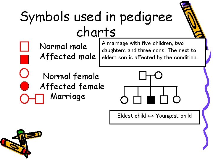 Symbols used in pedigree charts Normal male Affected male A marriage with five children,