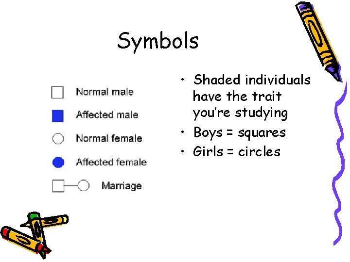 Symbols • Shaded individuals have the trait you’re studying • Boys = squares •