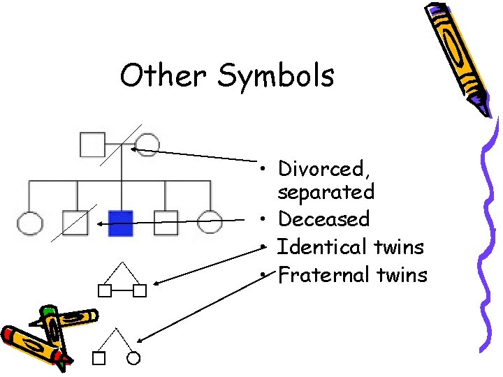 Other Symbols • Divorced, separated • Deceased • Identical twins • Fraternal twins 