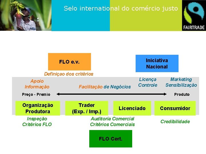 Selo international do comércio justo Iniciativa Nacional FLO e. v. Definiçao dos critérios Apoio